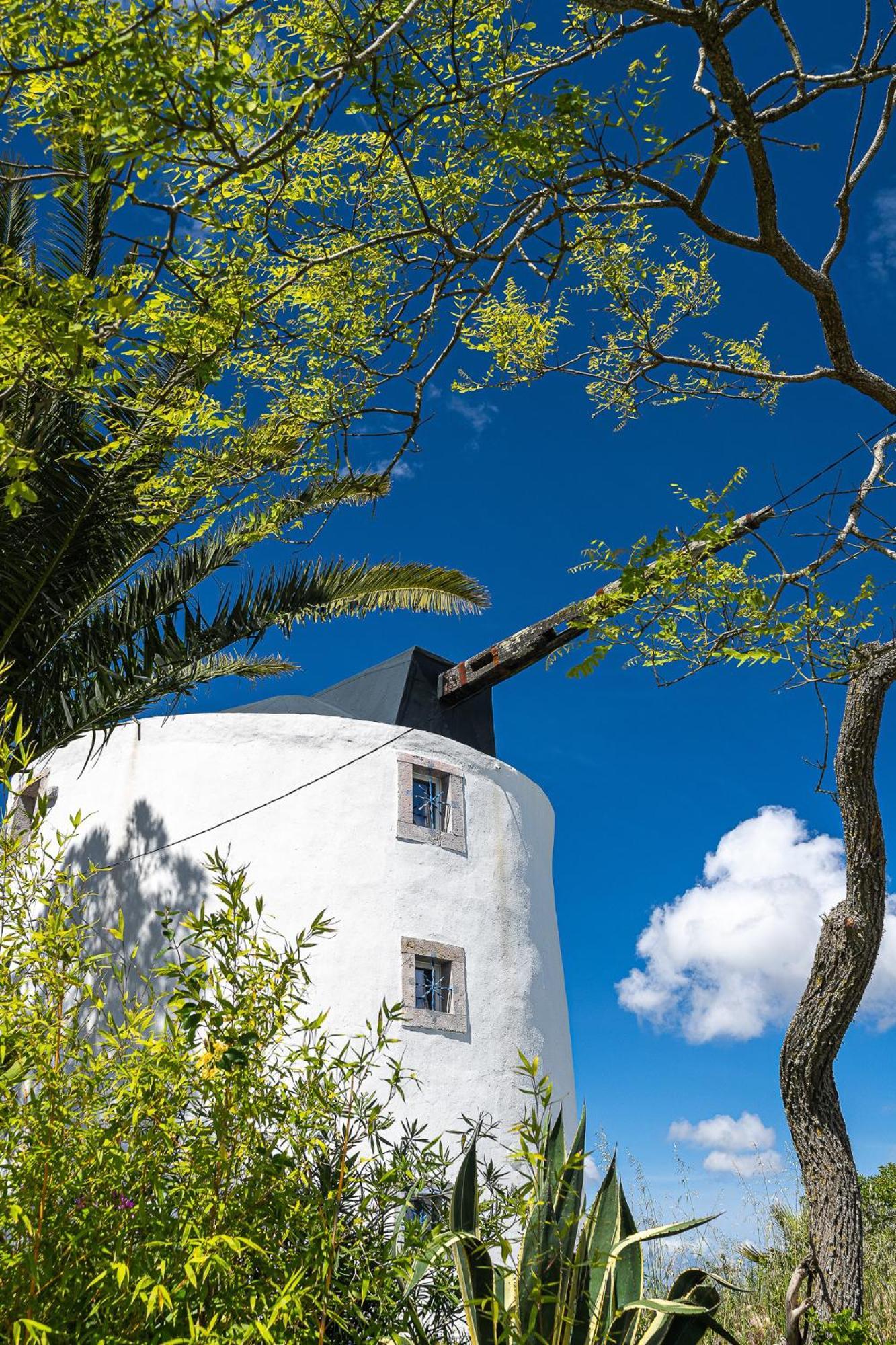 New! Windmill In The Midst Of Nature Villa Mafra Exterior photo